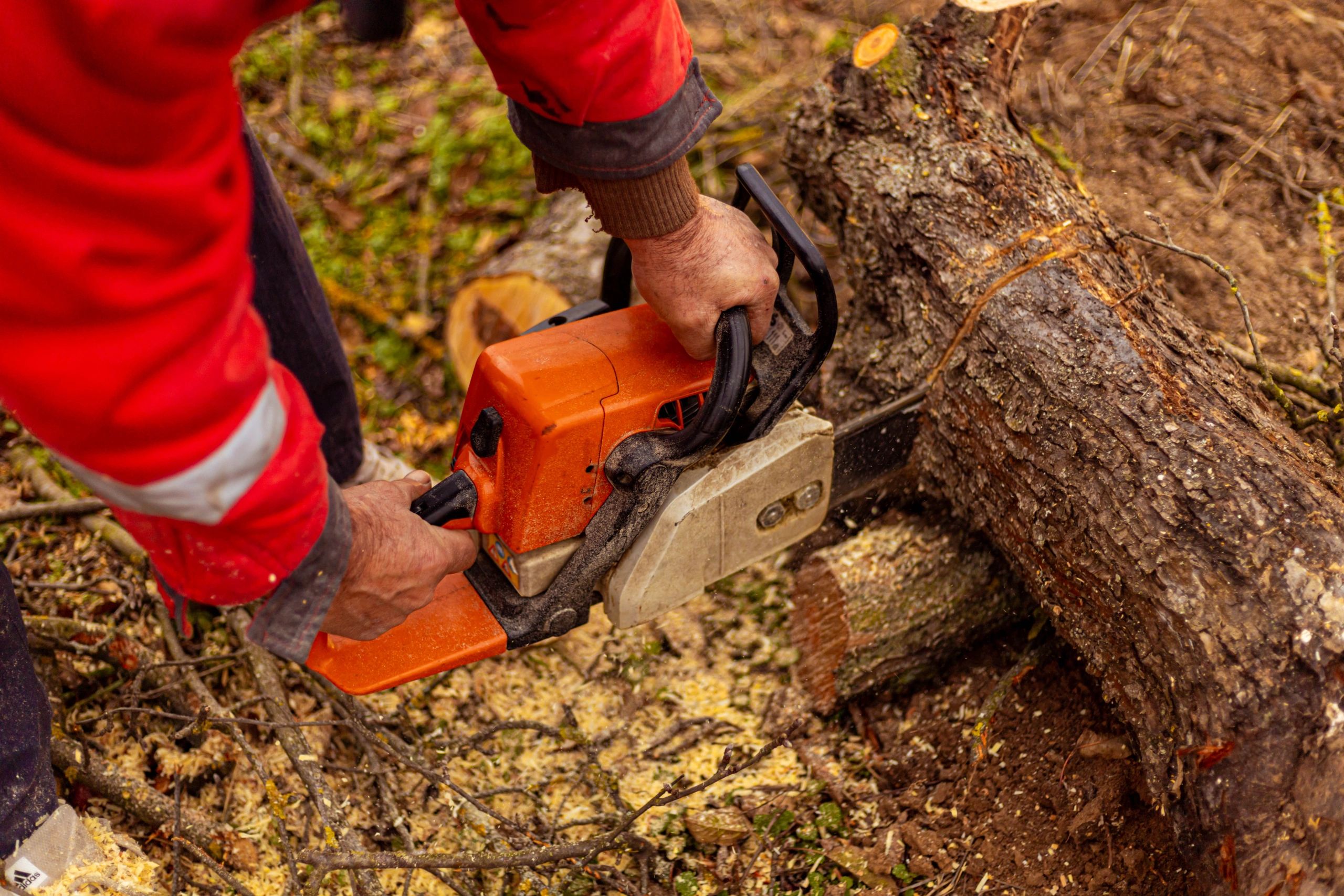 Worker cutting a tree trunk with a saw