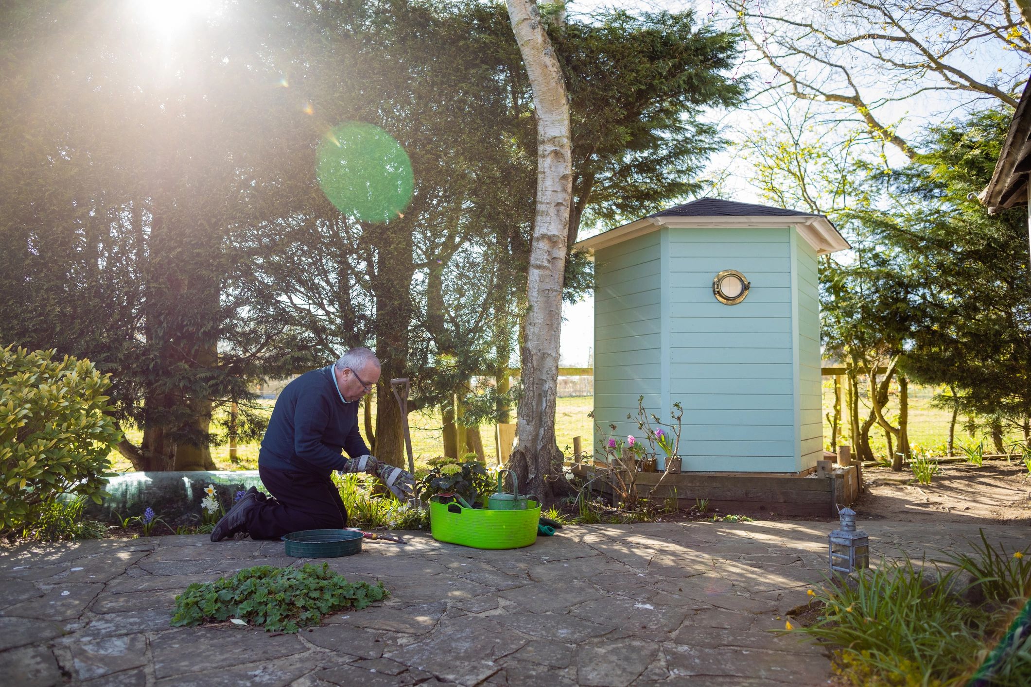 Person planting flowers in a garden