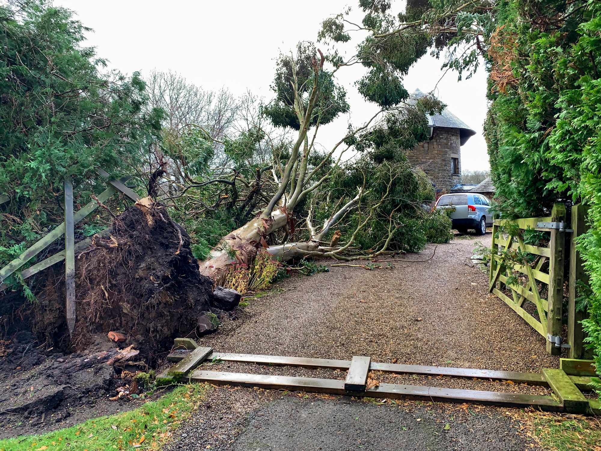 Storm damage with a fallen tree near a home