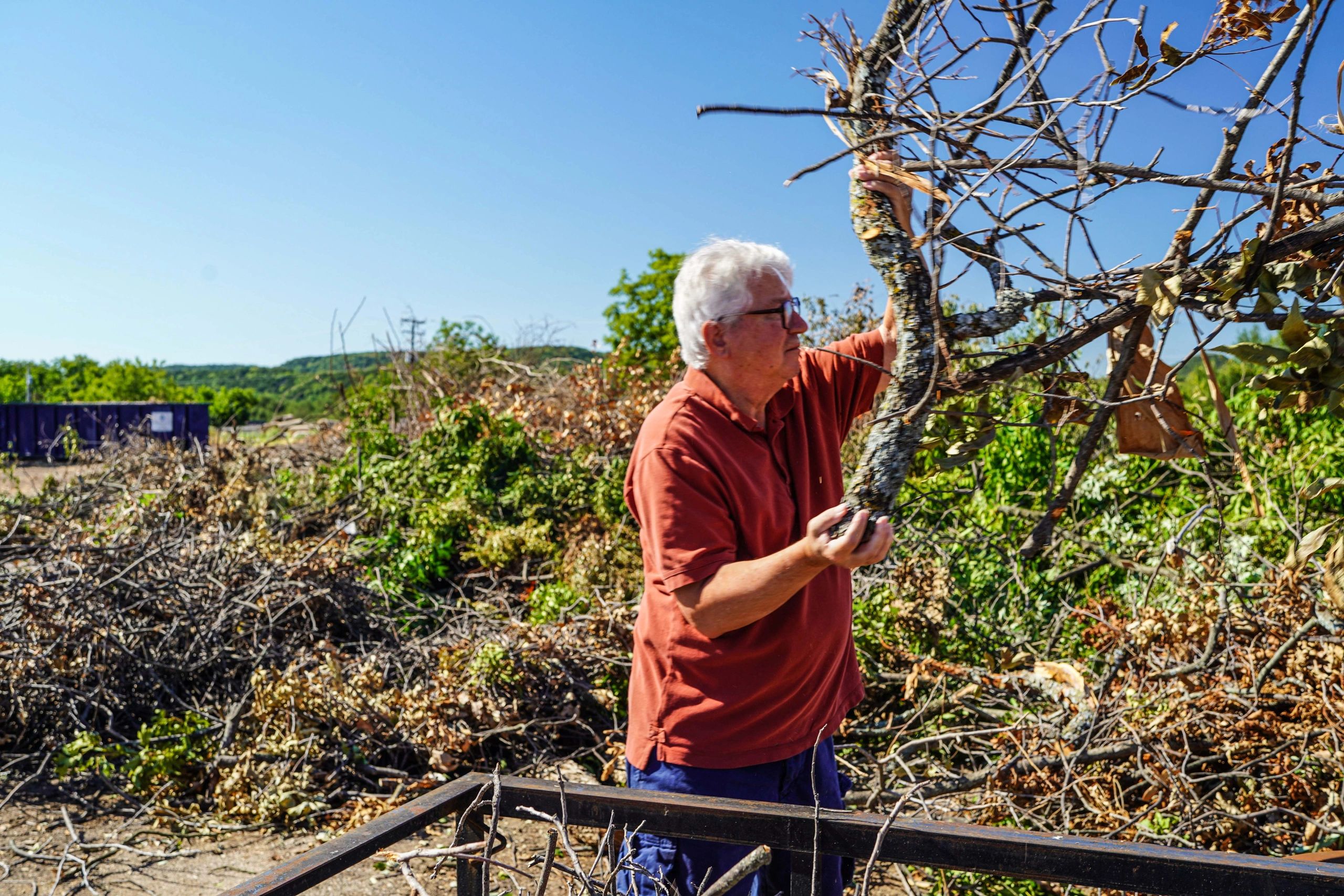 Brush and branches being unloaded for disposal
