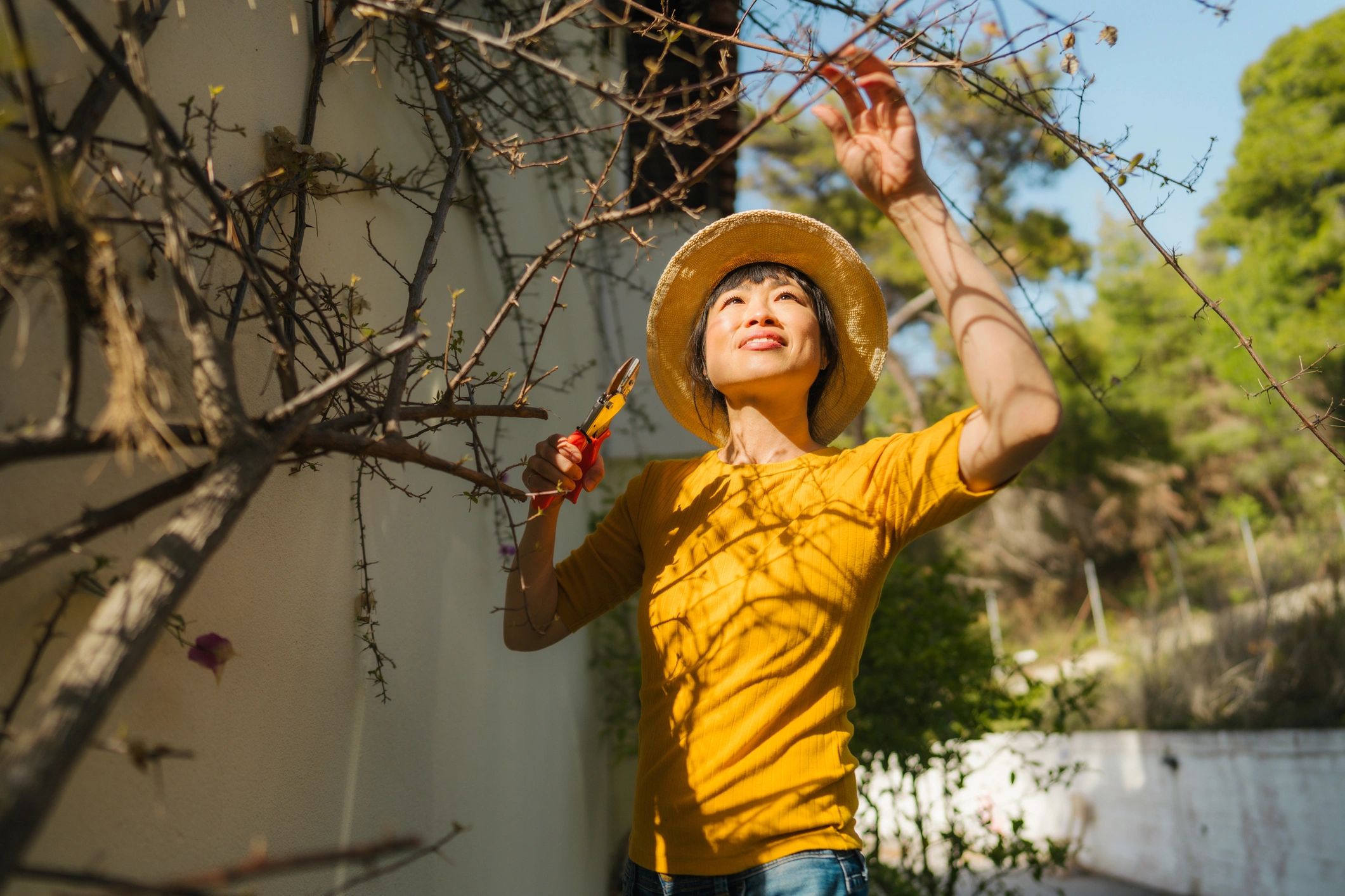 Smiling person gardening in a backyard